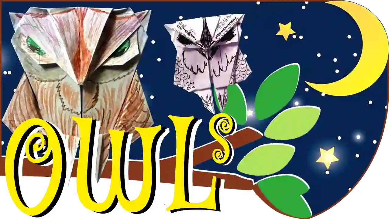 a spooky owl / 一只诡异的纸猫头鹰