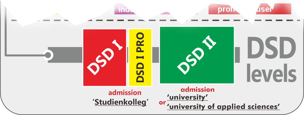 DSD exam